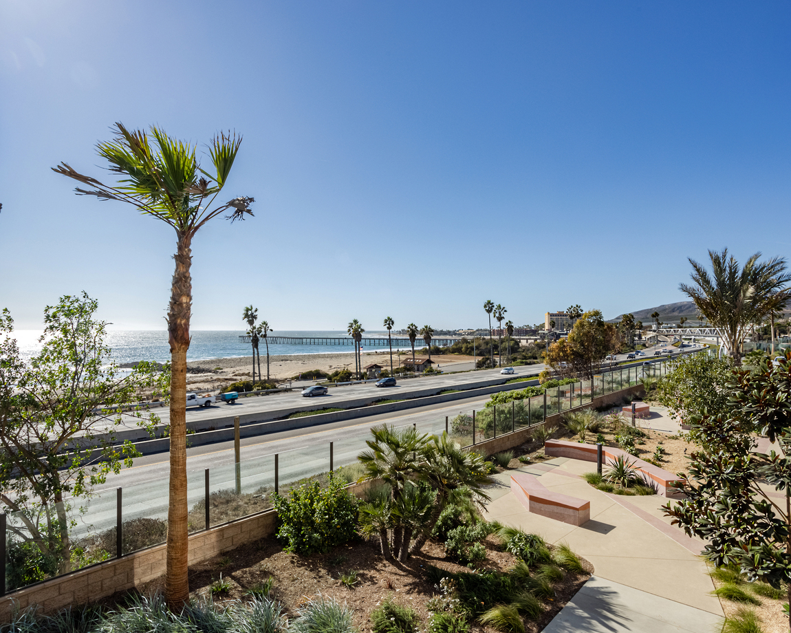 Ocean view